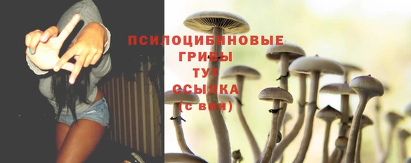 стафф Абаза