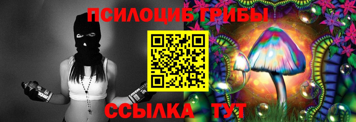 Чита  Галлюциногенные грибы мухоморы  Вход с VPN  где можно купить наркотик  Псилоцибиновые грибы Cubensis 